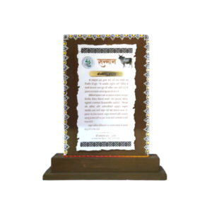 gober momento big squre 12 inch 768x768